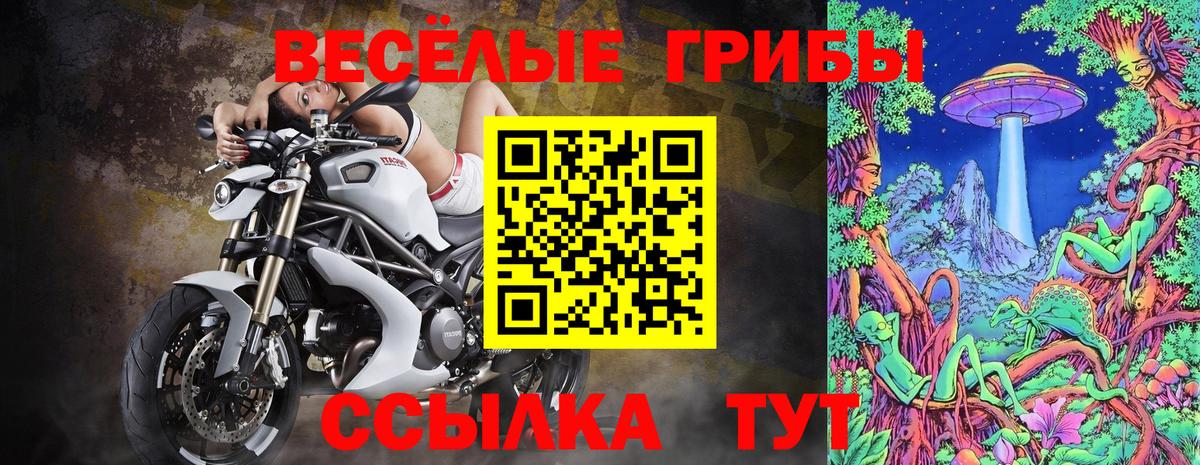 Рубцовск  Галлюциногенные грибы прущие грибы  Вход с VPN  Псилоцибиновые грибы прущие грибы 